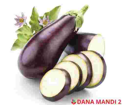 Eggplant (Sold by LBS)